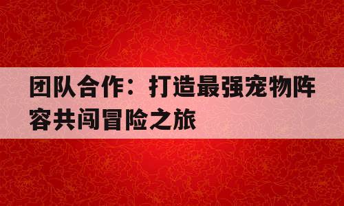 团队合作：打造最强宠物阵容共闯冒险之旅