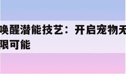 唤醒潜能技艺：开启宠物无限可能