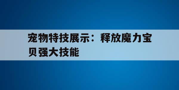 宠物特技展示：释放魔力宝贝强大技能