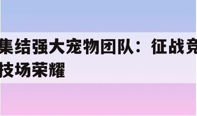 集结强大宠物团队：征战竞技场荣耀