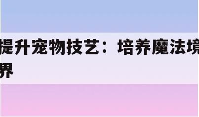 提升宠物技艺：培养魔法境界