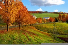 很多熊出没拼图游戏(很多熊出没拼图游戏是什么)